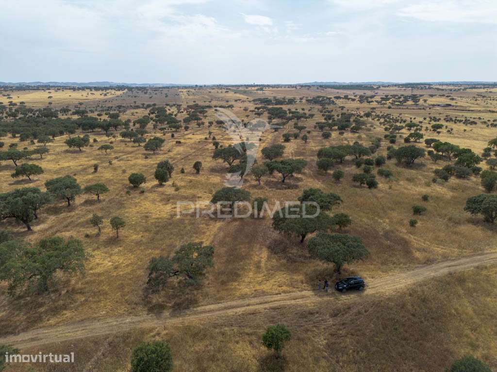 Terreno Rústico de 9,975 Hectares à venda, Capelins - Grande imagem: 2/16
