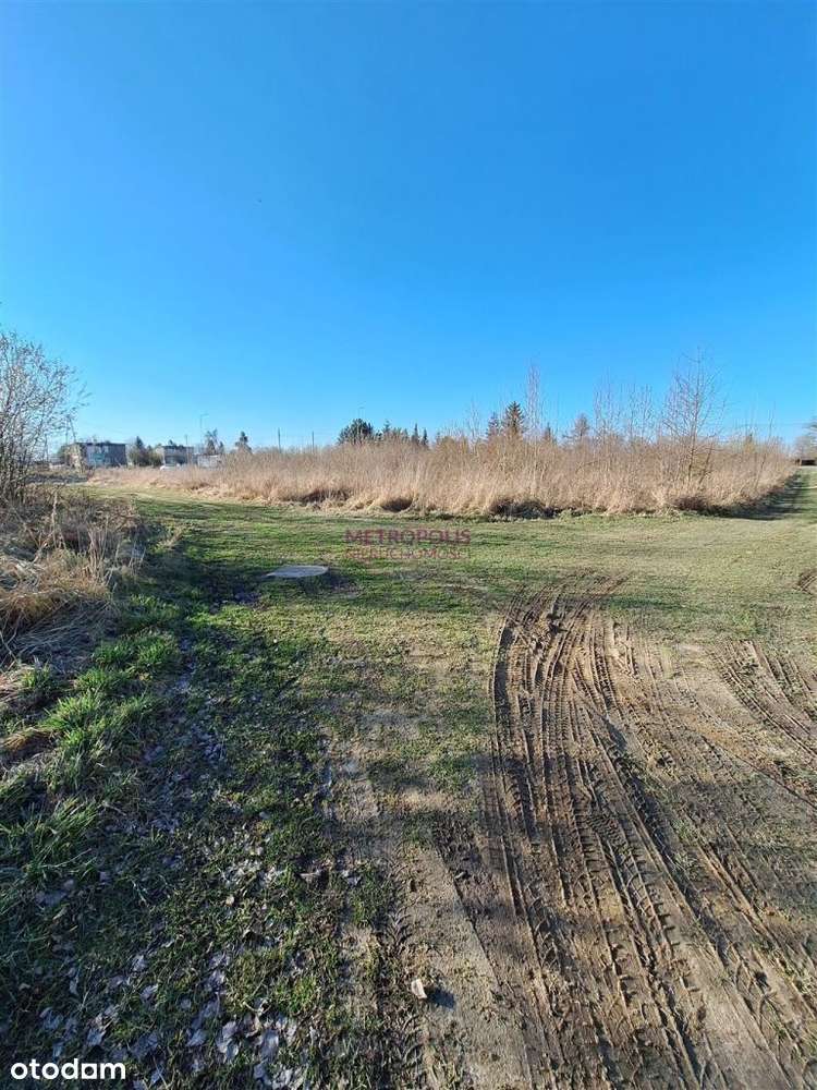 DziałkI Rybnik Raciborska Cena Do Negocjacji - Pełny obrazek: 4/6