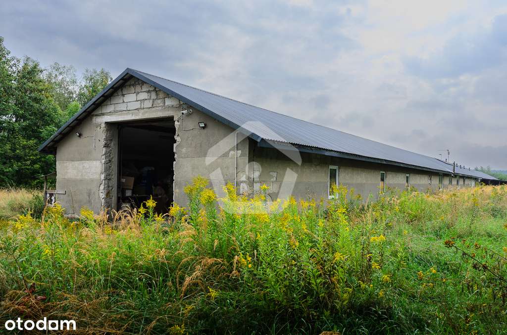 Hala montażowo - produkcyjna - 474,26 m2 blisko A4 - Pełny obrazek: 4/20