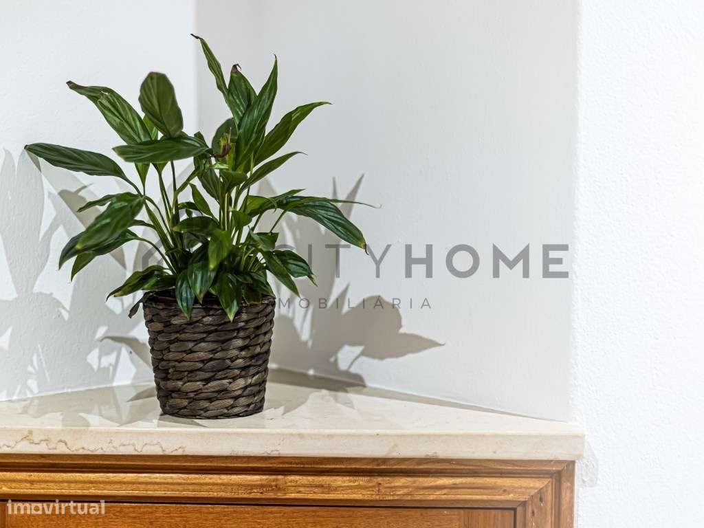 Apartamento T0 em Empreendimento Turístico com Piscina - Club Ocean... - Grande imagem: 4/23