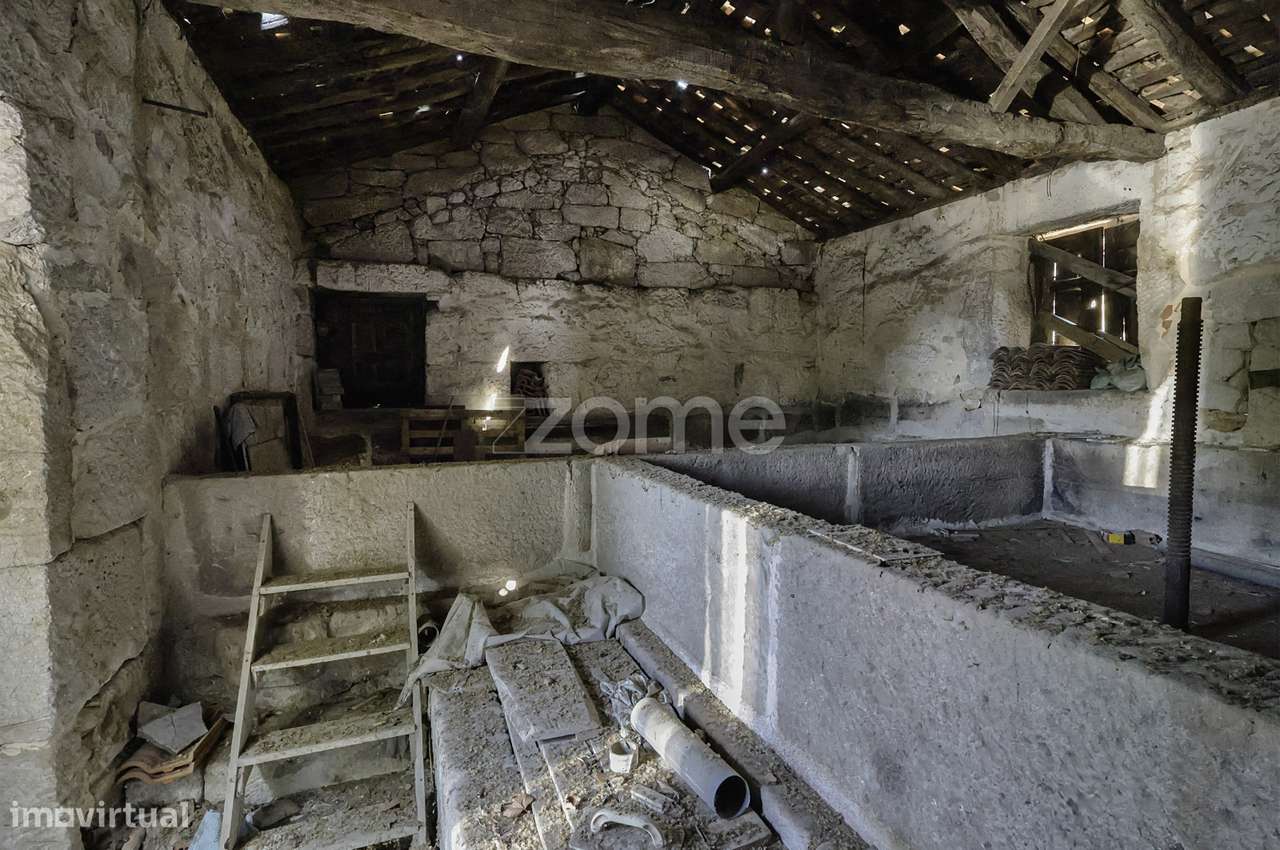 Moradia c/9 divisões, vinha e armazém em Lugar de São Gonçalo, Fava...-10