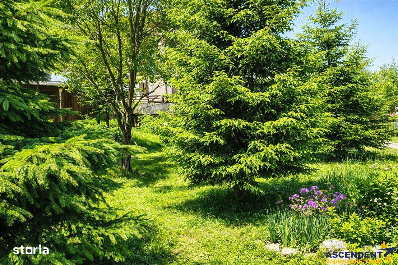 Locatie cu patru anotimpuri intr- o zi, incadrata de 2.350 teren, Bran - Imagine principală: 5/10