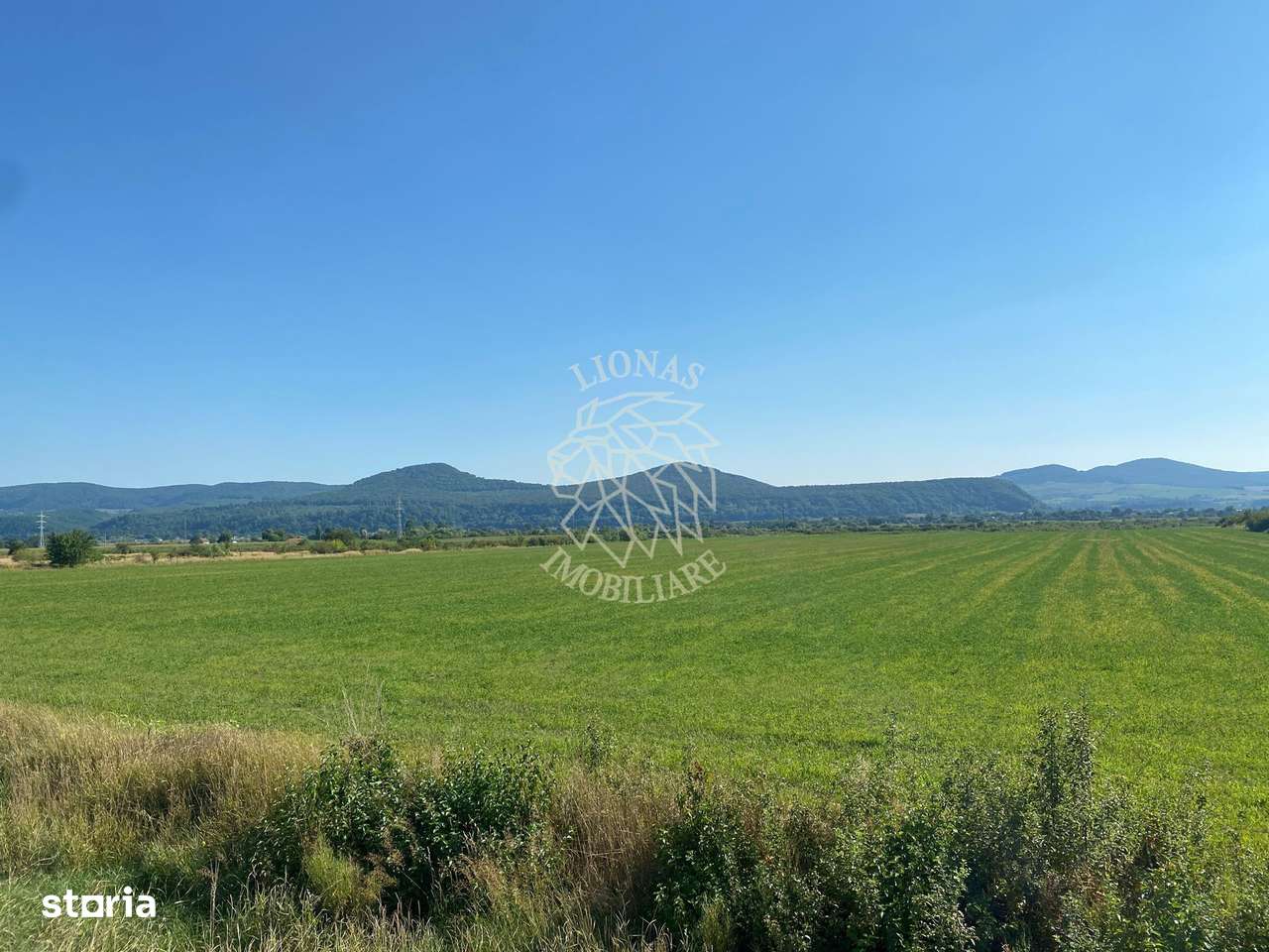 Teren 13400mp la DN 17-parcelabil Podirei - Imagine principală: 4/7