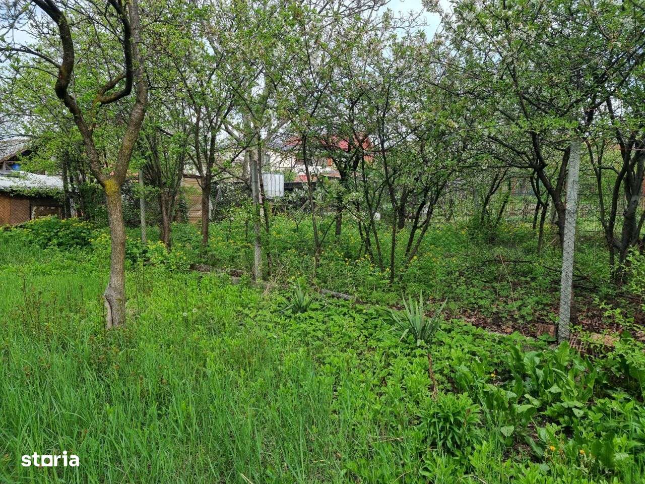 Teren de vânzare strada Belgrad 7 - Imagine principală: 4/8