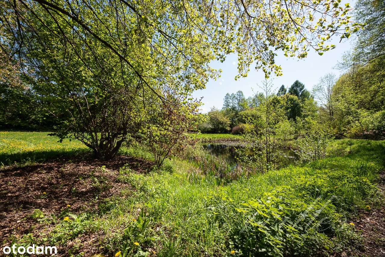 Malownicza działka, przestronny dom, tuż przy Puszczy Kampinoskiej.-1