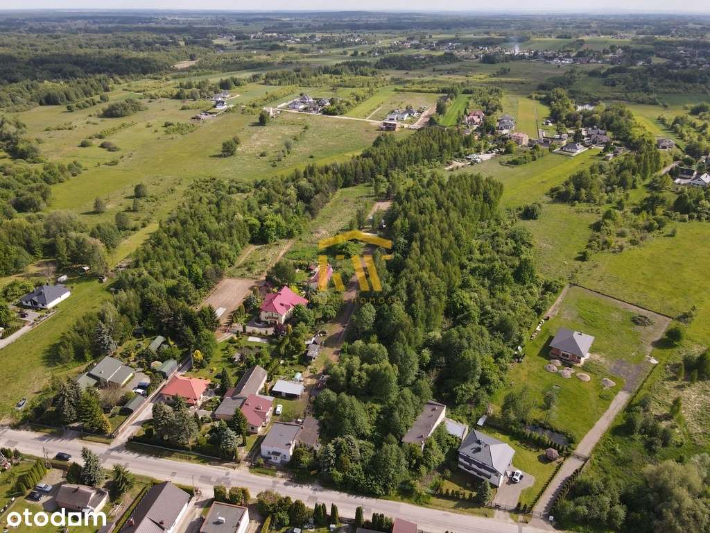 Działka budowlana  5000m2 Trablice - Pełny obrazek: 5/5