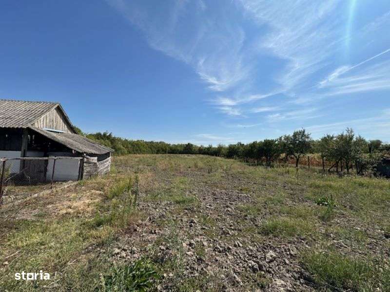 CASA CU TEREN 6060 MP | LOC.  BICACI | BIHOR-7