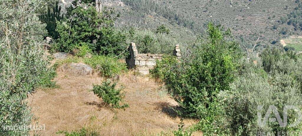 Terreno em Seixo da Beira de 3000,00 m2 - Grande imagem: 1/25