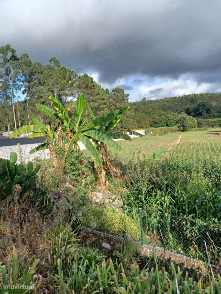 Terreno para venda em Fajões, Oliveira de Azeméis. - Grande imagem: 3/3