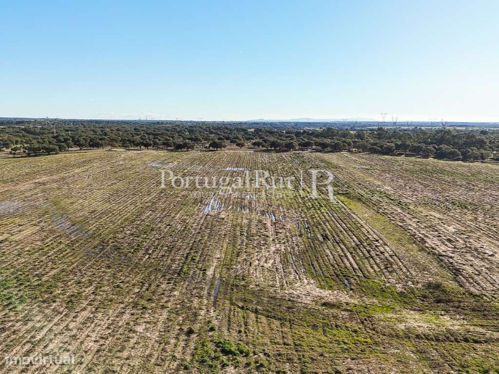 Herdade de 60 hectares para criação bovina e equina perto de Lisboa-19