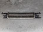 Radiador Intercooler Fiat Punto Evo (199_) - 1