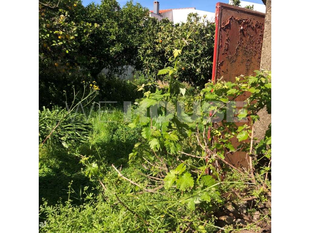 Terreno para Construção na Vila da Vidigueira - Oportunidade Única!-17