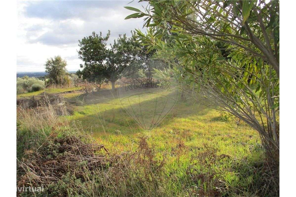 Quinta T0 para venda - Grande imagem: 3/31