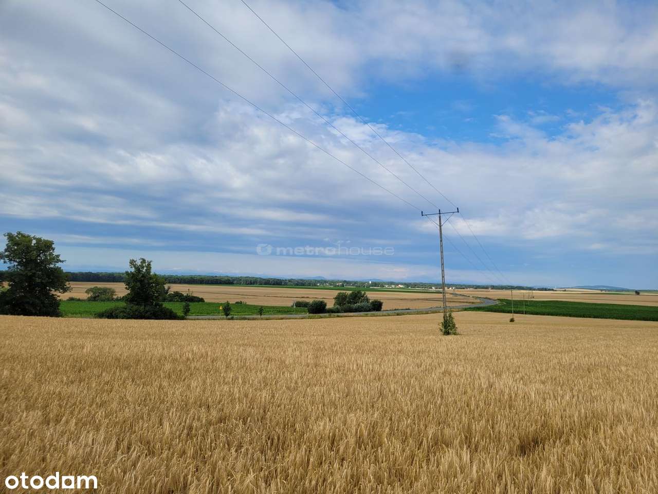 Piękna działka Piława gm. Mietków dolnośląskie - Pełny obrazek: 4/5