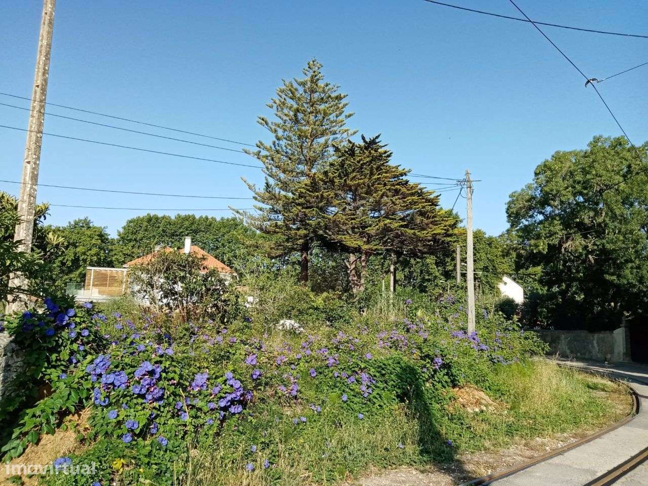 Terreno urbano em Colares-5