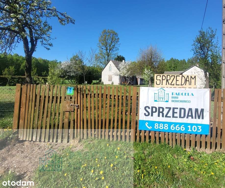 Sprzedam gospodarstwo rolne w gm. Wielgomłyny - Pełny obrazek: 5/12