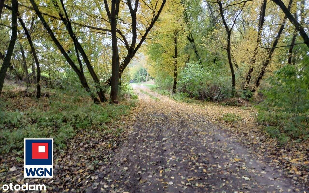 Atrakcyjne działki z dostępemj do linii brzegowej - Pełny obrazek: 5/10