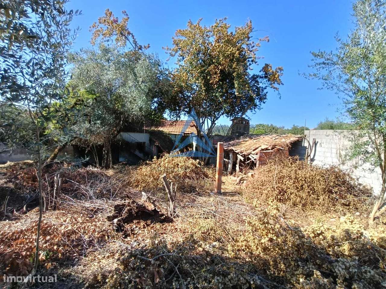 Terreno Urbano com Ruína - Grande imagem: 5/50