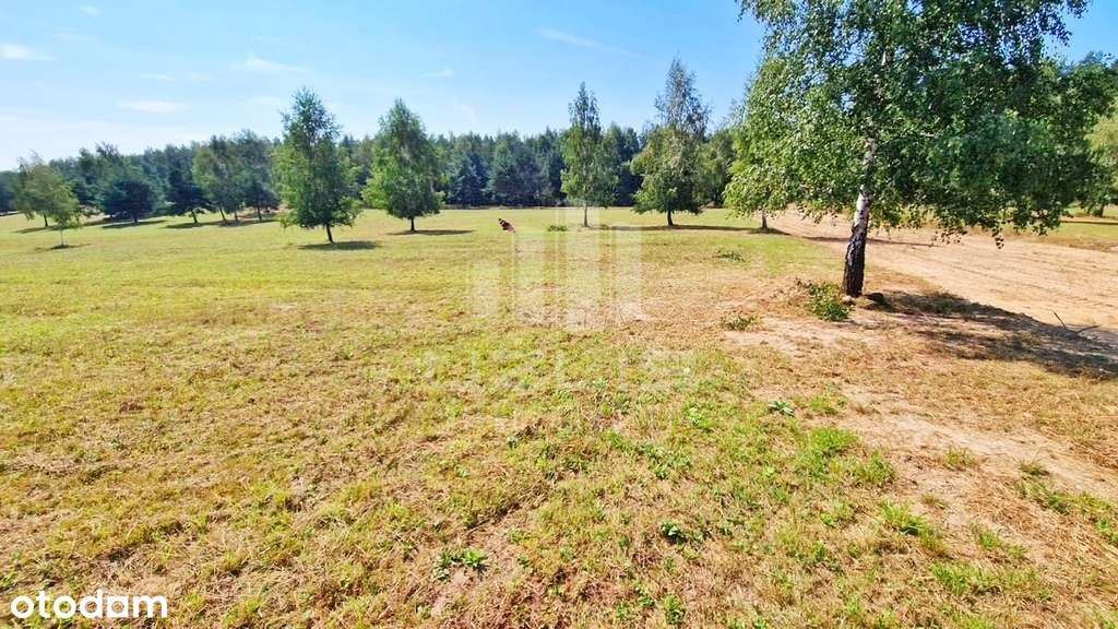 Działka w malowniczej okolicy - Pełny obrazek: 5/9