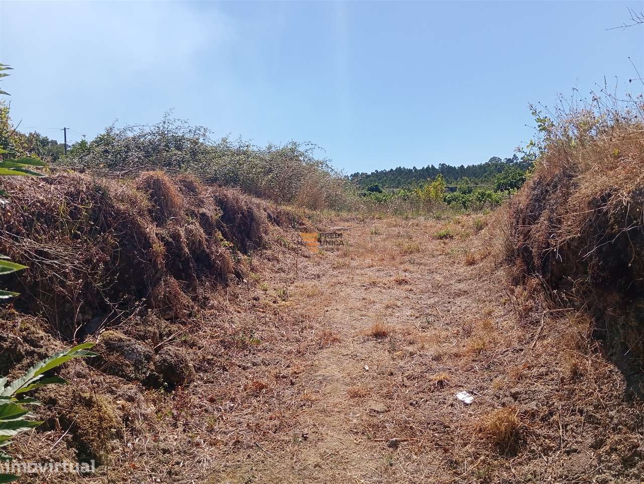 Terreno 3.000m2 Duas igrejas-5