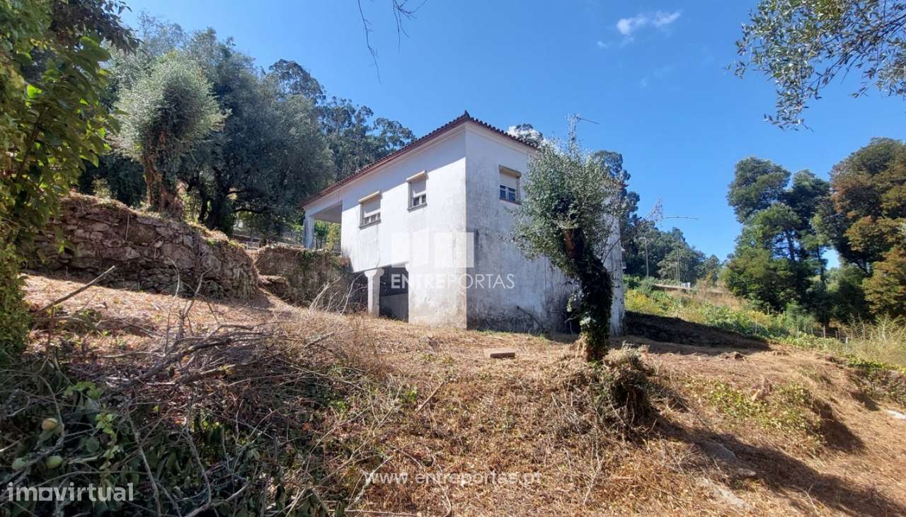 Venda de quintinha rural com 5.200m², Deão, Viana do Castelo - Grande imagem: 2/33
