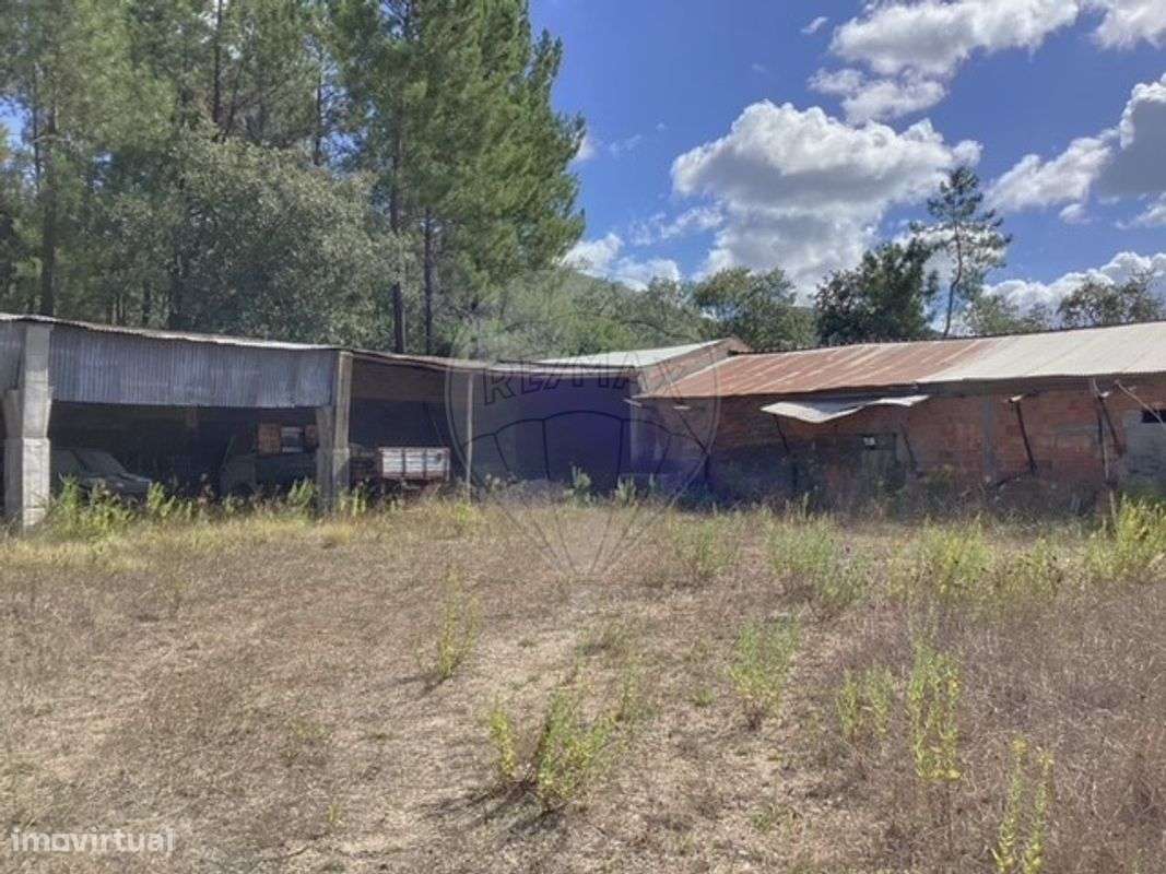 Armazém T0 para venda - Grande imagem: 5/8