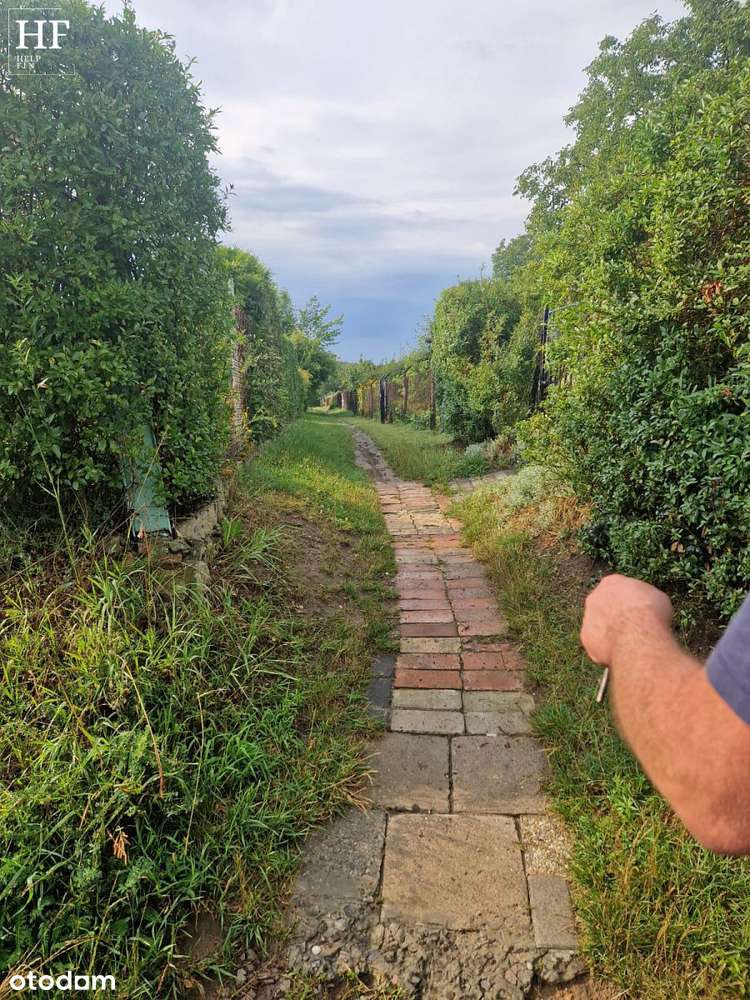 Działka ROD - Pełny obrazek: 4/15