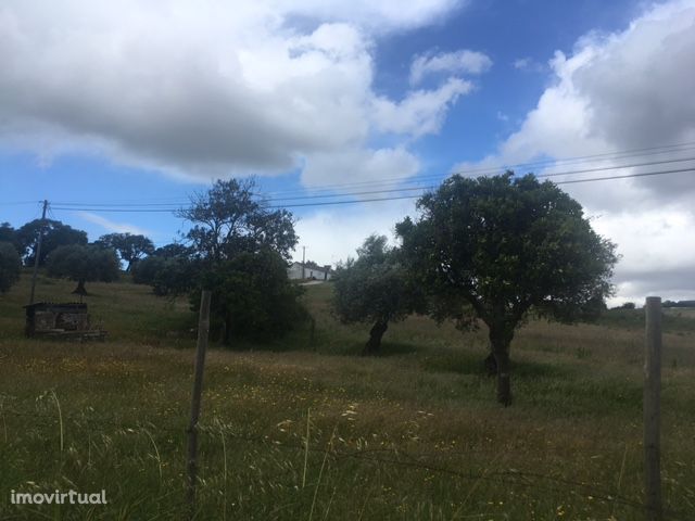 Propriedade mista nas Fontainhas, Santarém.