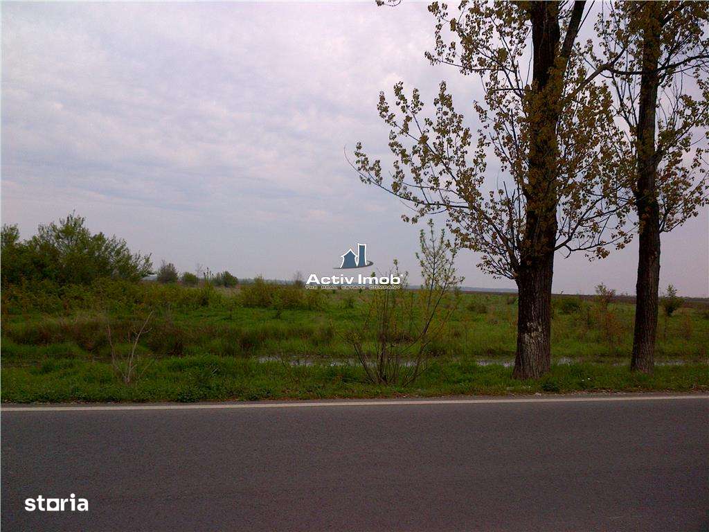 teren intravilan,  5000mp, Ciolpani - accept schimb - Imagine principală: 2/6