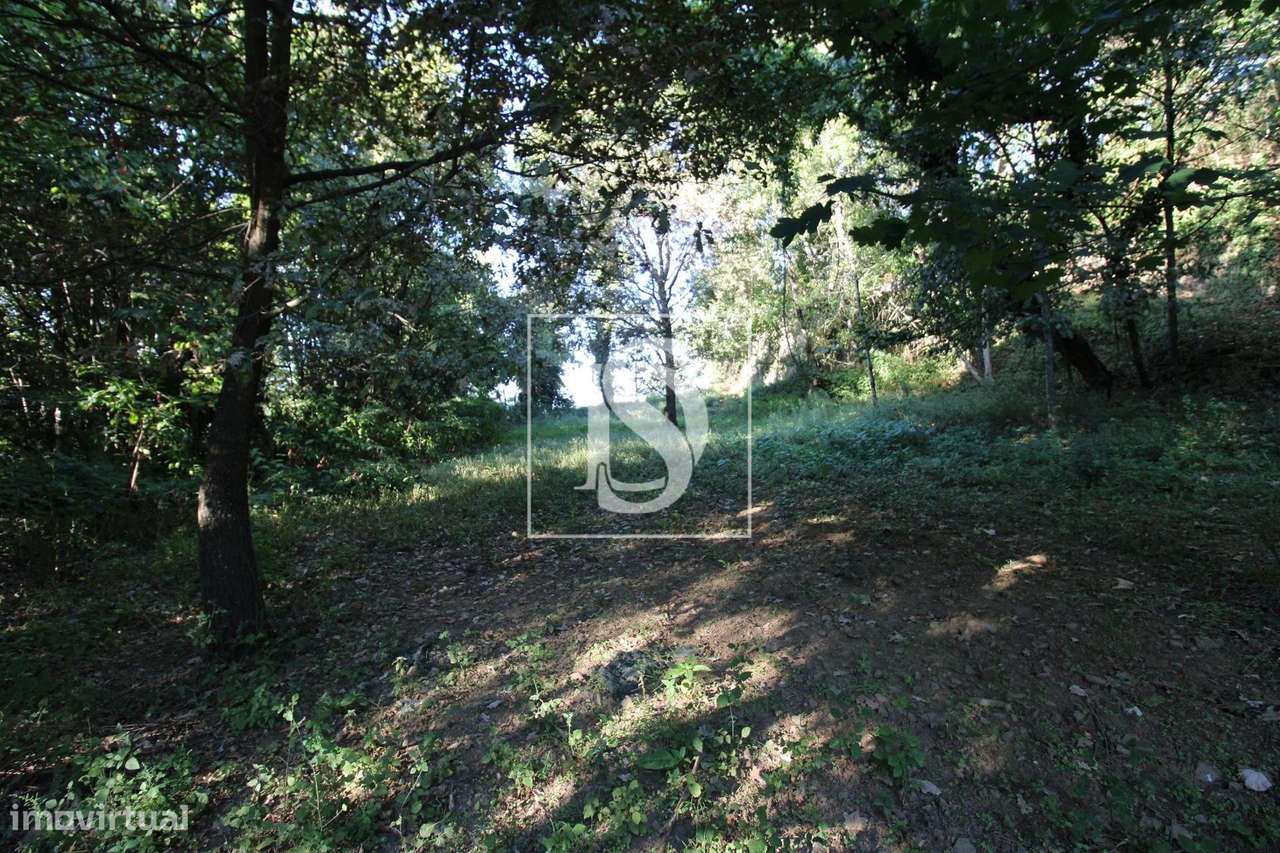 Terreno em Rebordelo - Grande imagem: 2/3