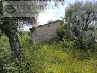 Terreno com 3 poços e construção rura...