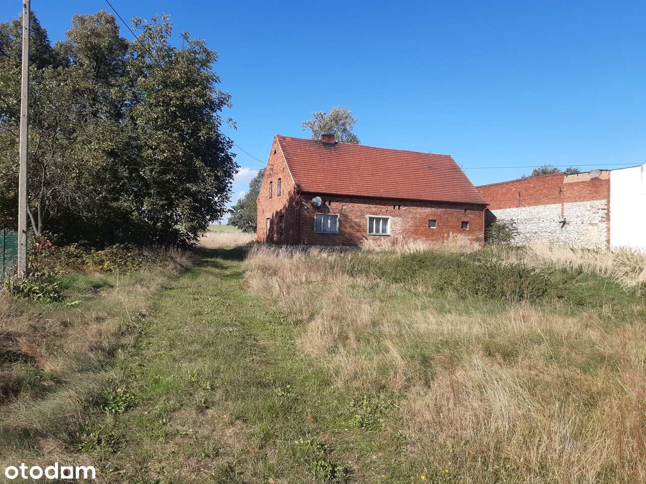 Dom do remontu z dużą działką (możliwość podziału)-8