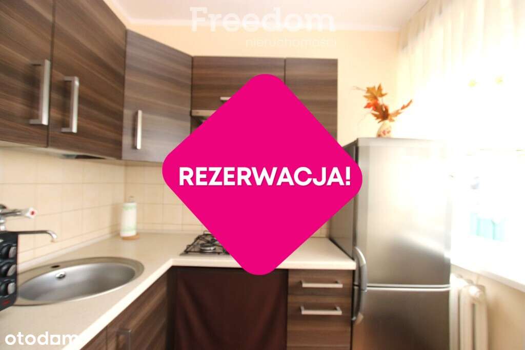 Przytulne 2 pokoje z aneksem – do wynajęcia - Pełny obrazek: 4/7