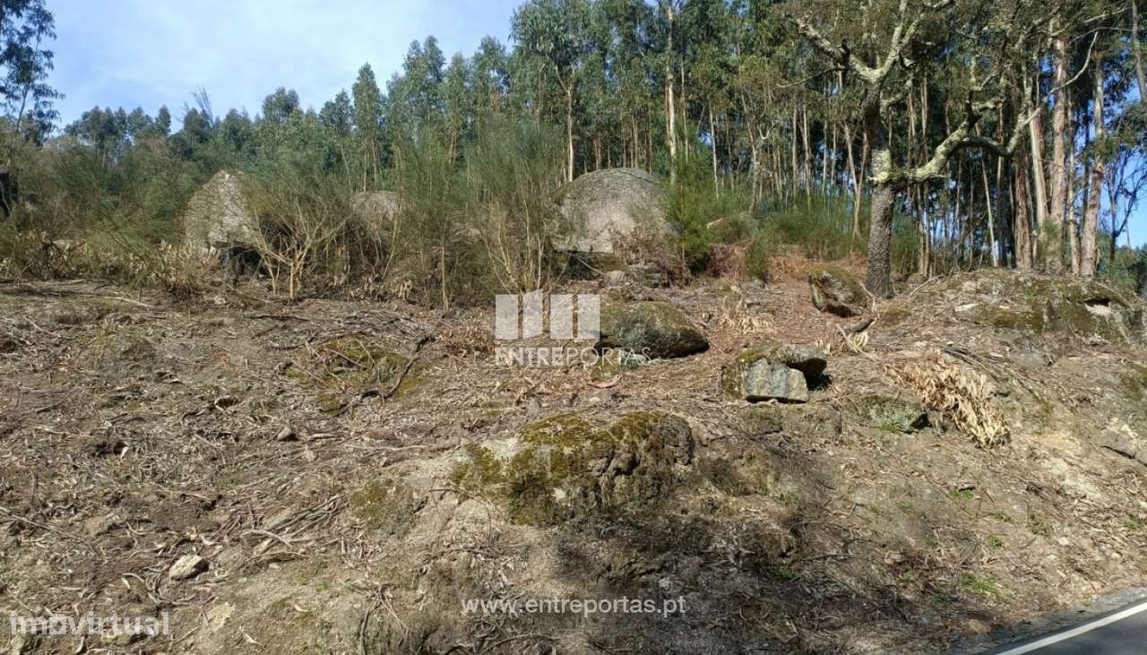Venda Terreno  Vila Cova Penafiel - Grande imagem: 5/10