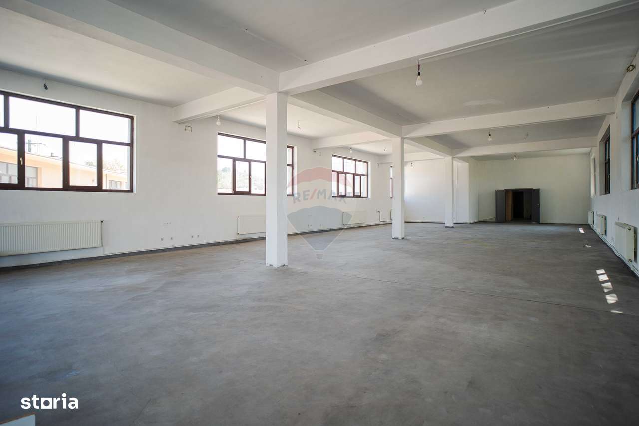 Hală industrială modernă de vânzare – Tomesti, Iași - 0% Comision - Imagine principală: 5/20