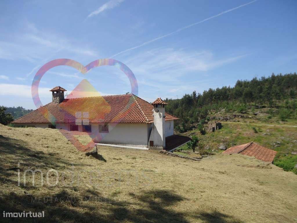 Quinta T6 em Santa Comba Dão - Viseu-55