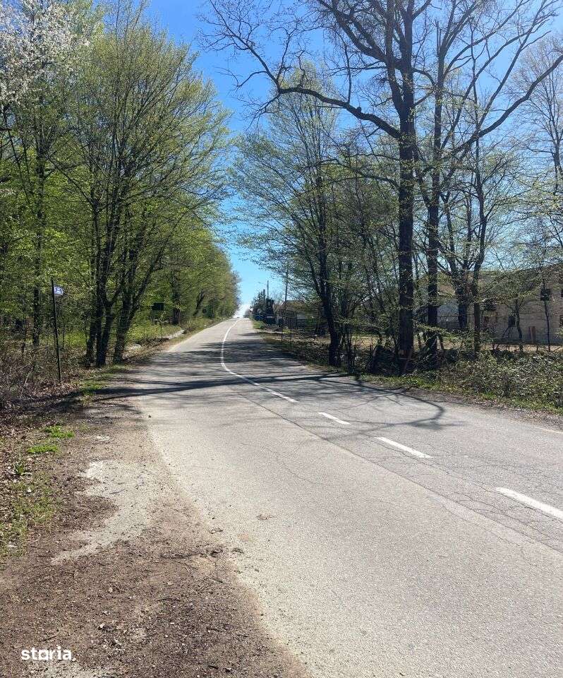 IMOBIL CU POTENȚIAL TURISTIC ÎN ZONA MONTANĂ NOVACI - Imagine principală: 4/4