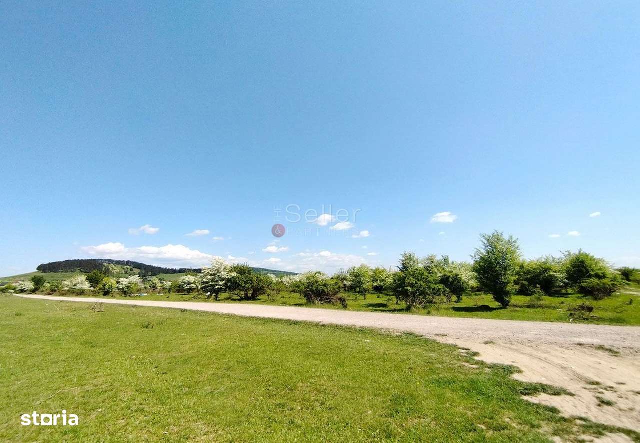 Teren Intravilan - Imagine principală: 2/9