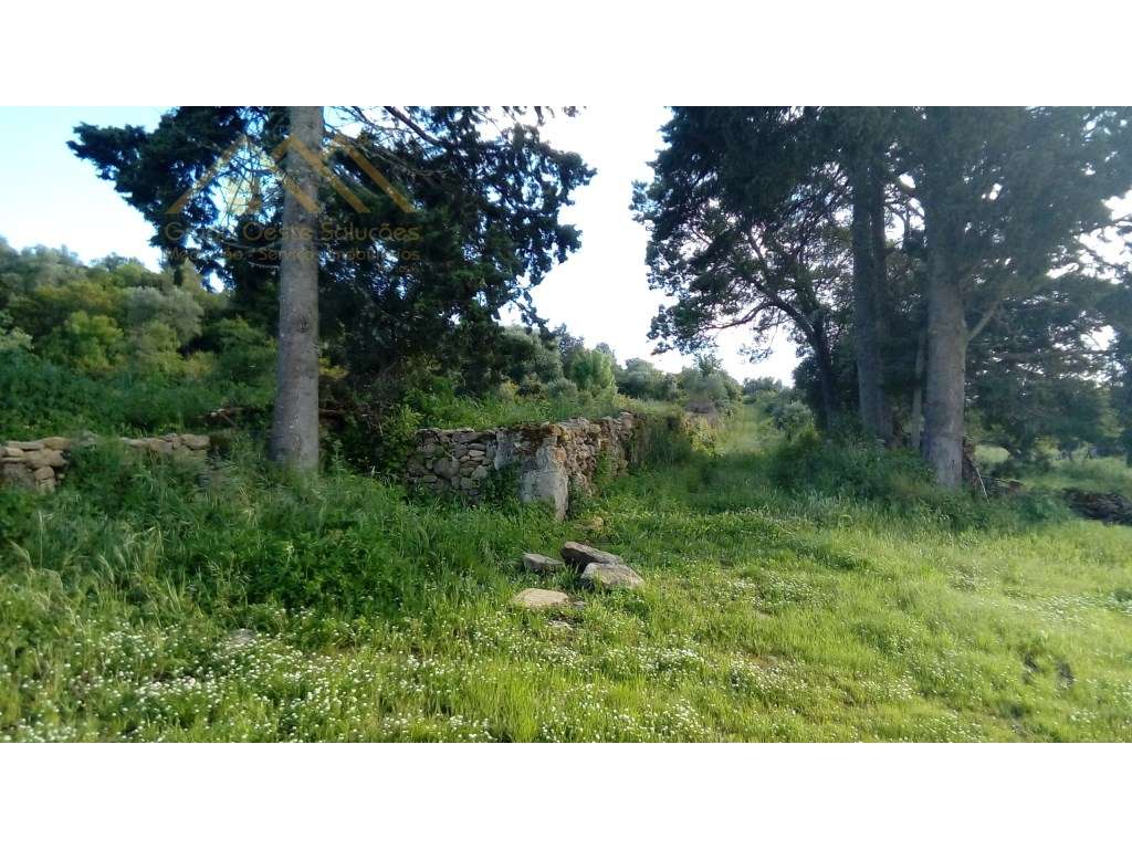 Quinta Boialvo em Vila Franca de Xira-15