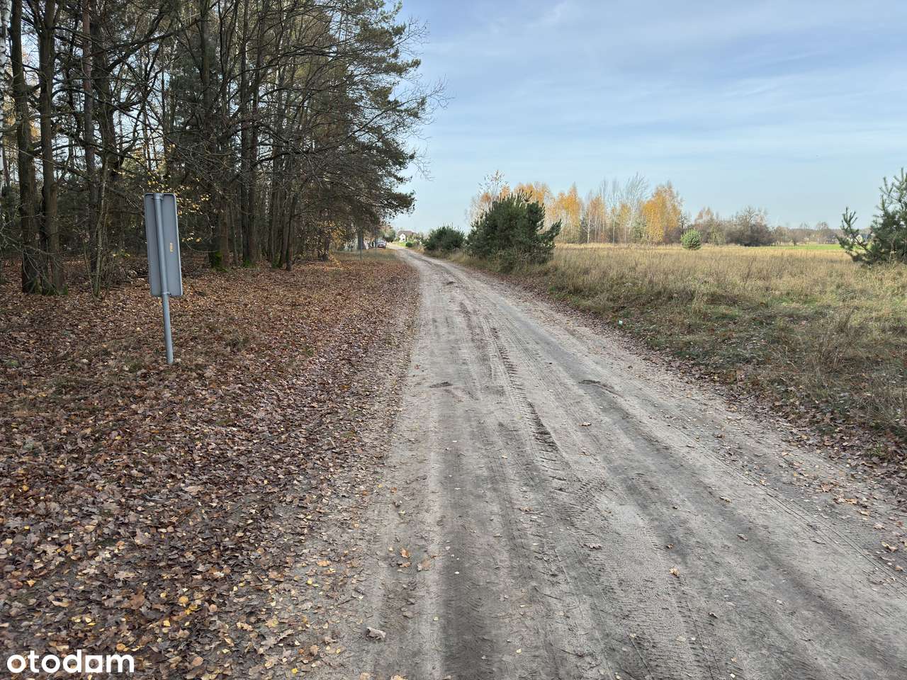 Garki, gm. Odolanów-3