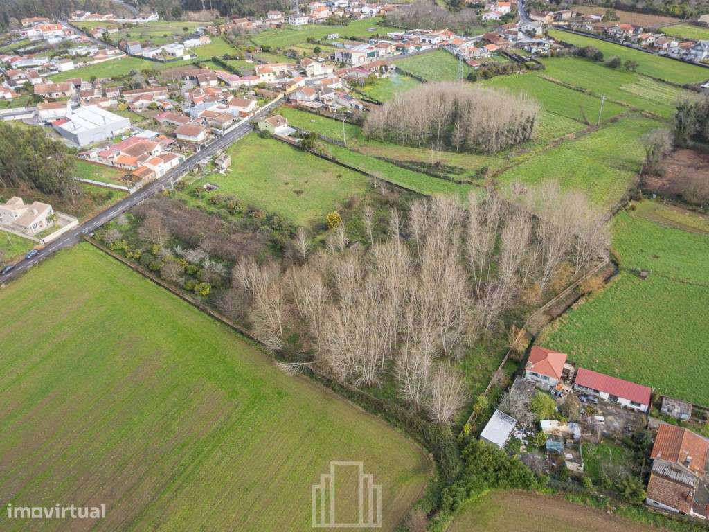 Terreno rústico - S. Miguel do Souto - Grande imagem: 4/6