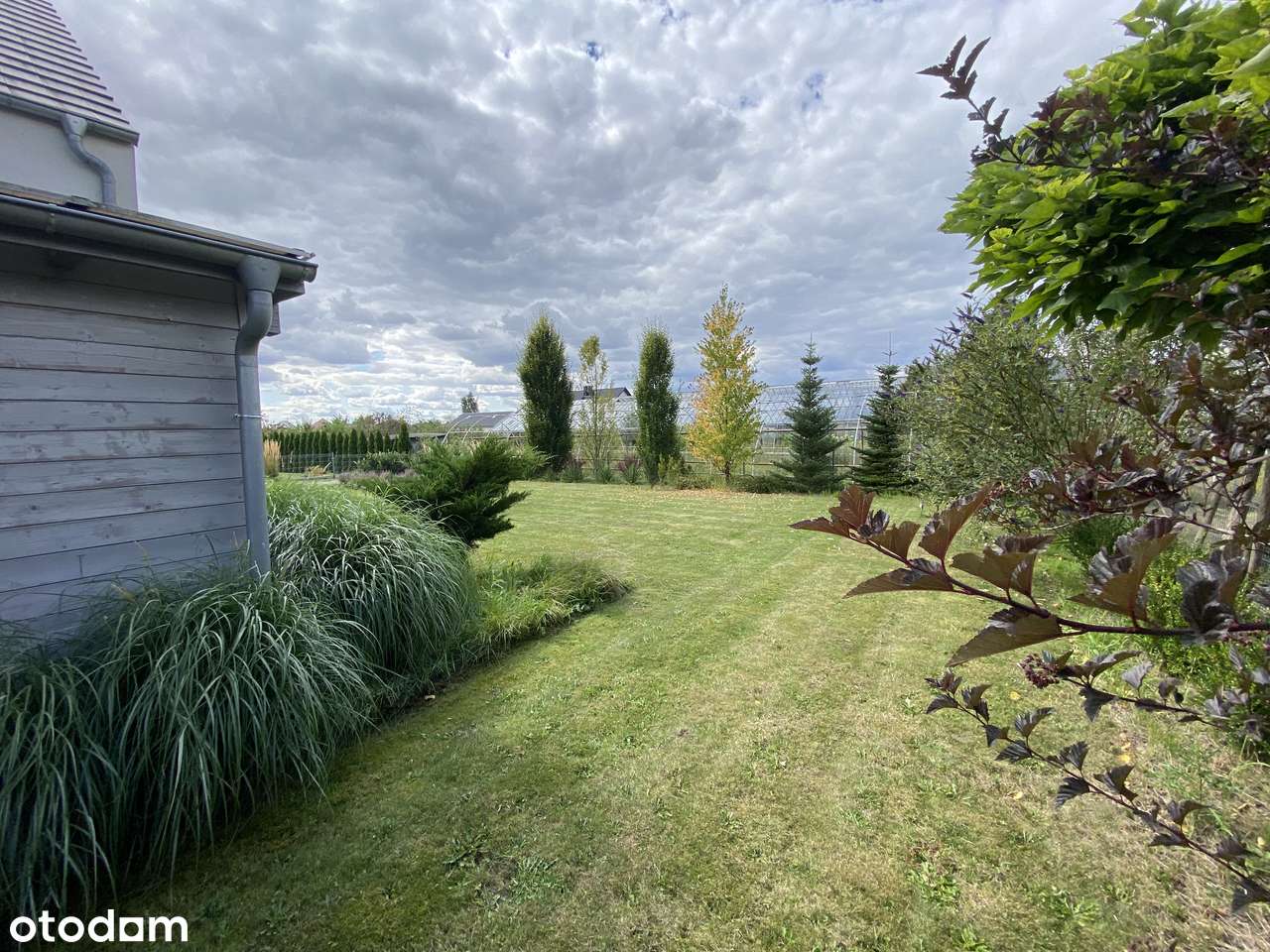 Dom jednorodzinny wolnostojący z dużą działką - gotowy do zamieszkania - Pełny obrazek: 5/20