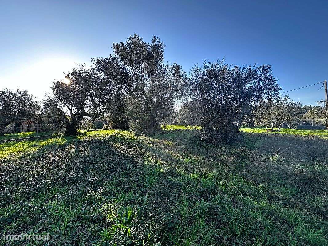 Terreno  para venda - Grande imagem: 4/13