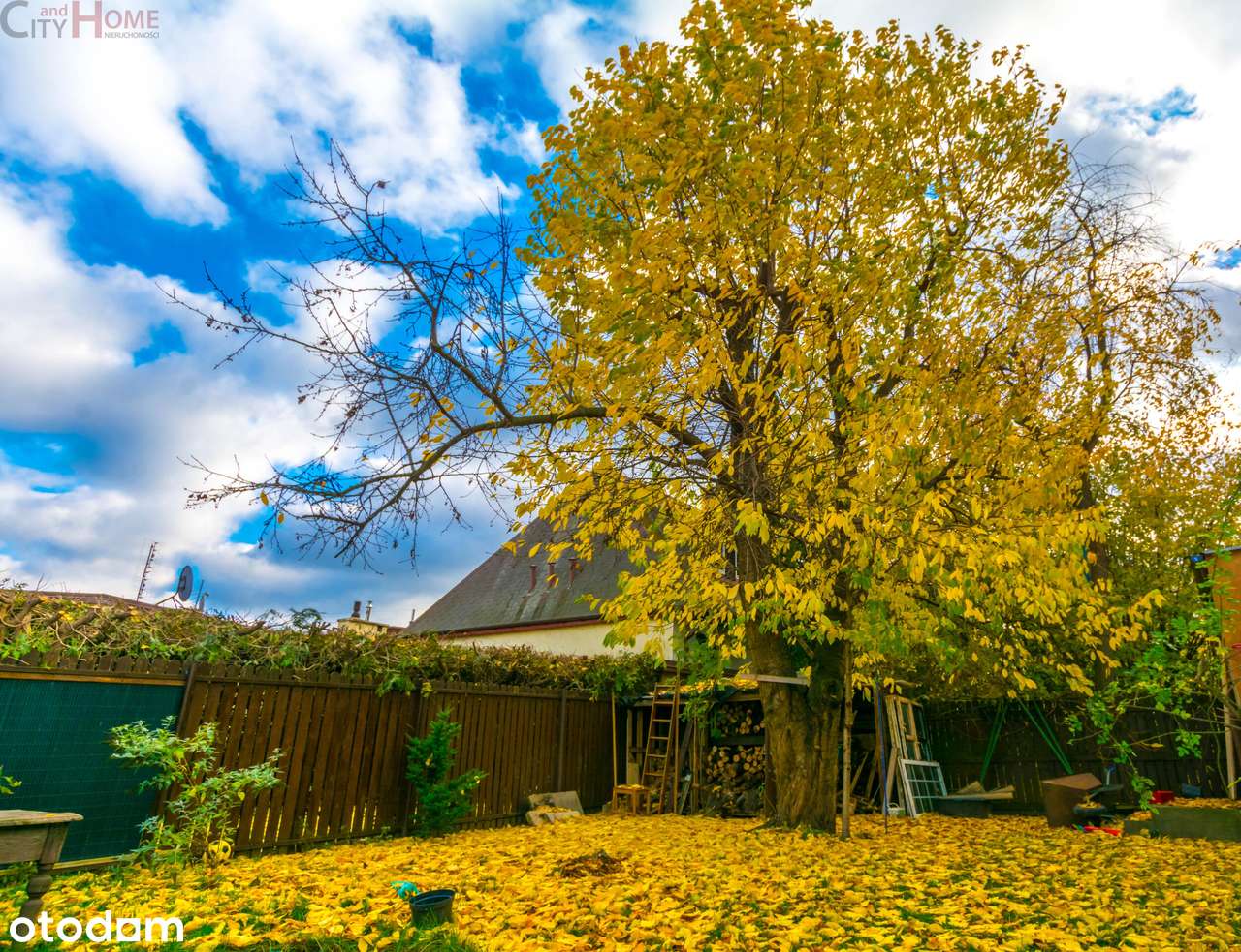 130 m2 w parterze Józefosław/Piaseczno!!!-14