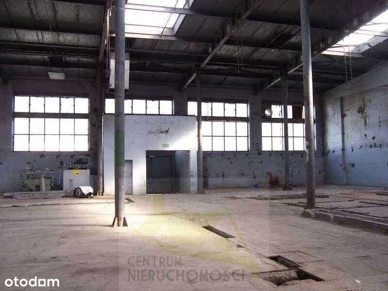 Hale, magazyny i powierzchnie produkcyjne 13000 m2-5