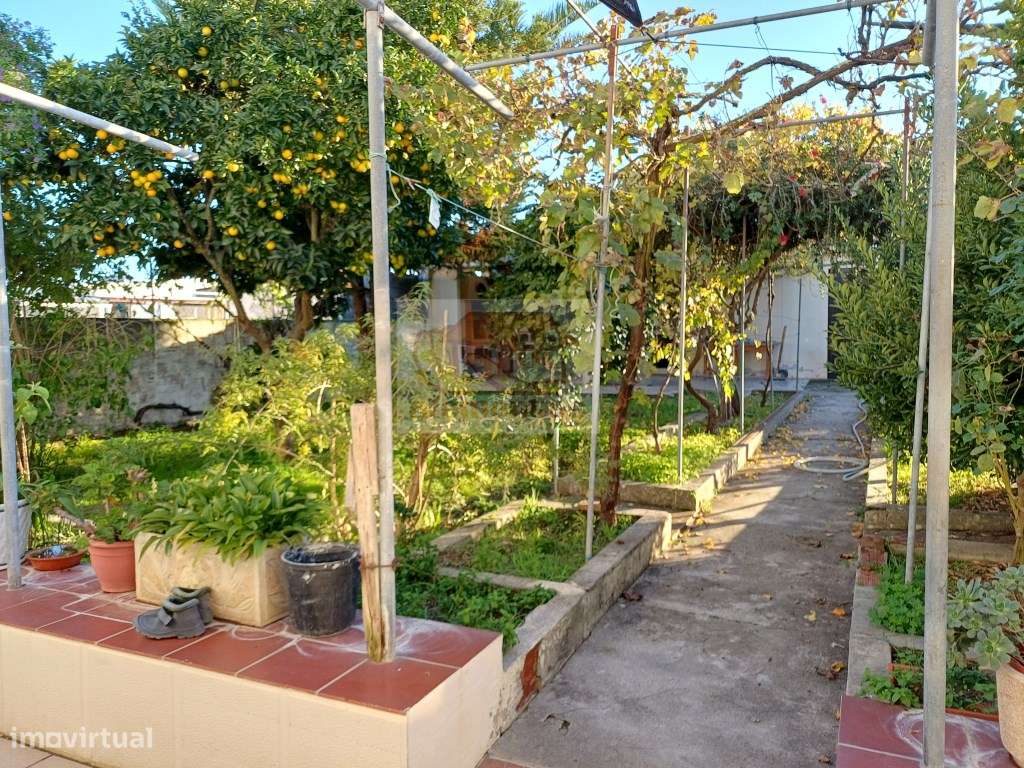 Excelente oportunidade - Quinta com 3 habitações em Grândola - Grande imagem: 2/27