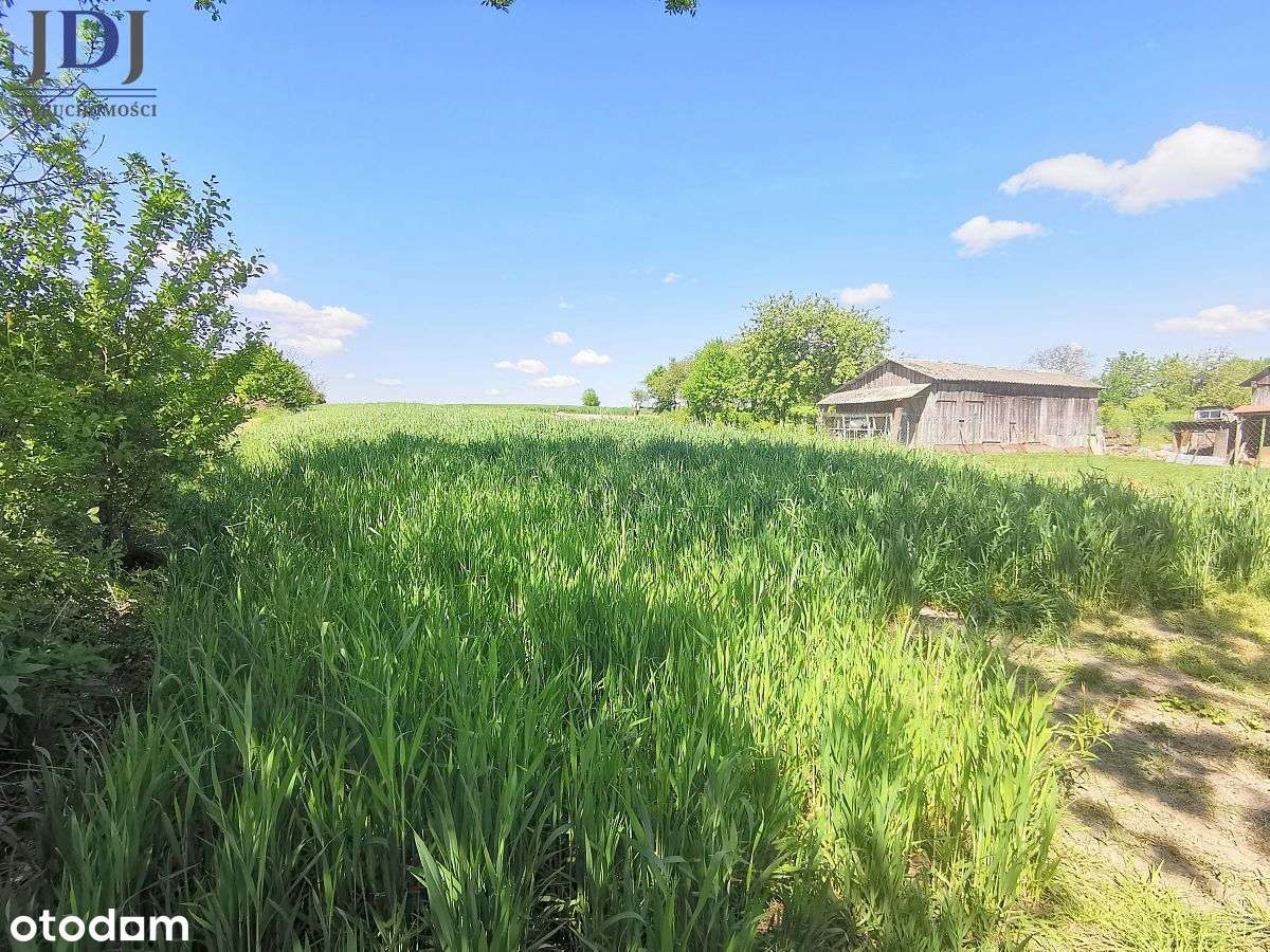 Dom drewniany z działką. Wojsławice. Lubelskie.-16