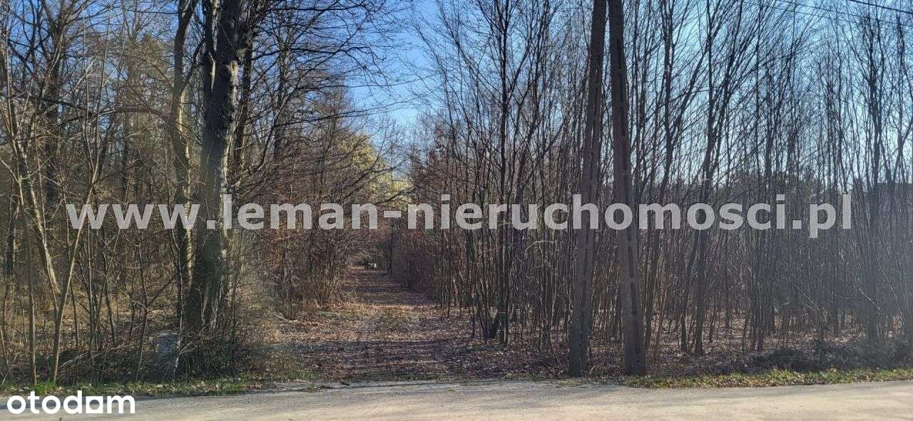 Działka, 5 539 m², Ryki-4