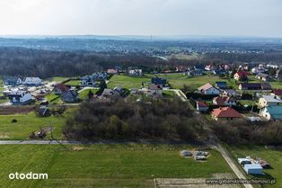 Działki budowlane z sadem w miejscowości Pawęzów