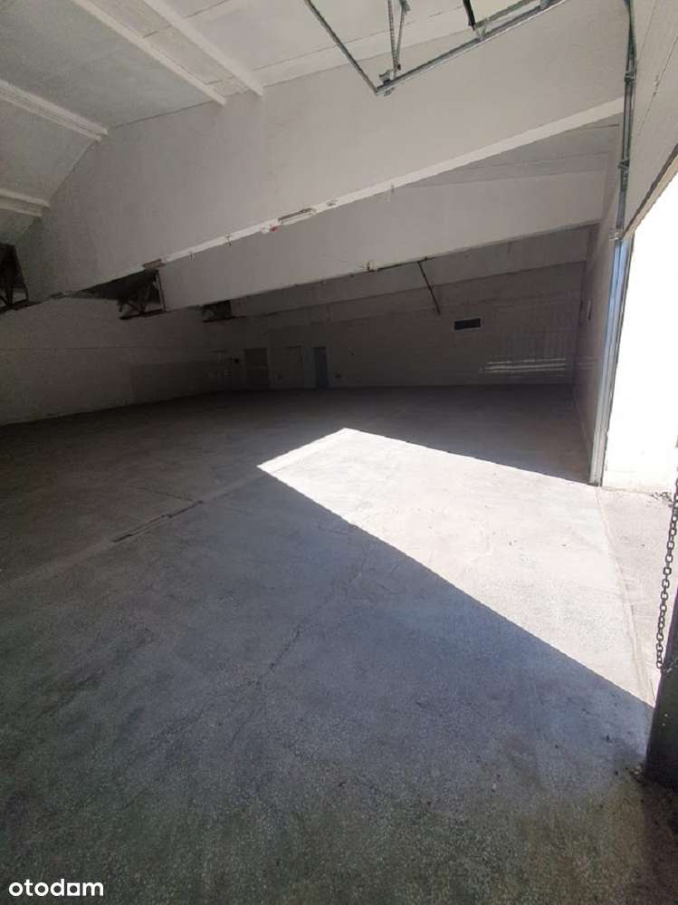 Wynajmę magazyn 350 m² bez pośrednika, brama roleta 3mx3m - Widok 3